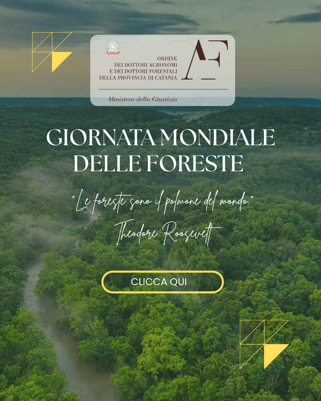 Giornata delle Foreste: oltre 37.000 ettari nel territorio di Catania tra tutela e gestione sostenibile